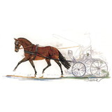 Haddington Green Equestrian Art Print - Stefan Driving Horse 19.75