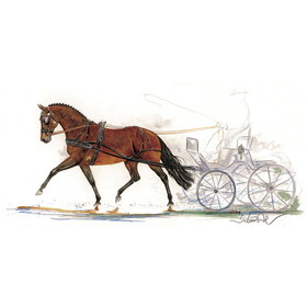 Haddington Green Equestrian Art Print - Stefan Driving Horse 19.75" X 27.5"
