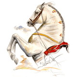 Haddington Green Equestrian Art Print - Ayamonte Lipizzan 2 Matted 7.75