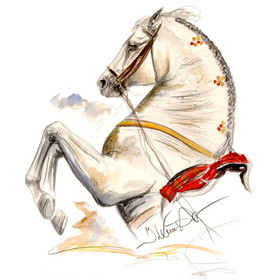 Haddington Green Equestrian Art Print - Ayamonte Lipizzan 2 Matted 7.75" X 11.75"