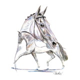 Haddington Green Equestrian Art Print - Hengsttraum (Dressage) Horse 19.75