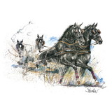Haddington Green Equestrian Art Print - Maurizio (Driving) Horse 19.75