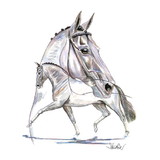Haddington Green Equestrian Art Print - Hengsttraum 2 (Dressage) Matted 7.75