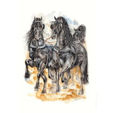 Haddington Green Equestrian Art Print - Sneek (Driving) Horse 19.75