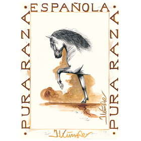Print - Flamenco Andalusian Horse 19.75" X 27.5"