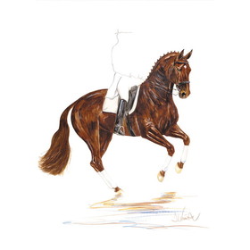 Haddington Green Equestrian Art Print - Scotch (Dressage) Matted 19.75" X 27.5"