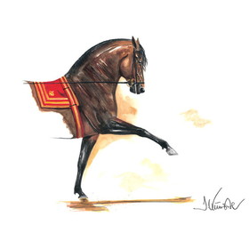 Print - Granada (Andalusian) Horse 19.75" X 27.5"