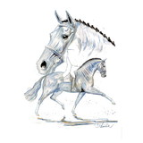 Print - Porto Fino (Dressage) Horse 19.75
