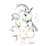 Print - San Marino (Dressage) Horse 19.75