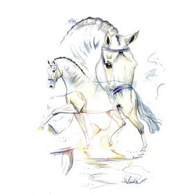 Print - San Marino (Dressage) Horse 19.75" X 27.5"