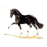 Print - Bordeaux (Dressage) Horse 19.75