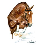 Print - Salsa (Show Jumper) Horse 19.75