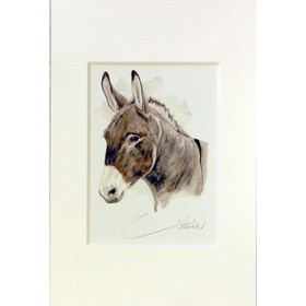 Intrepid International Print - Benjamin Donkey2 Matted (Print Size 7 3/4" X 11 3/4")