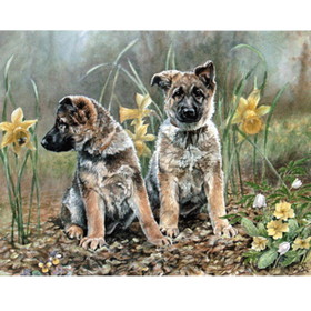 Print - Springtime (Gsd Puppies)