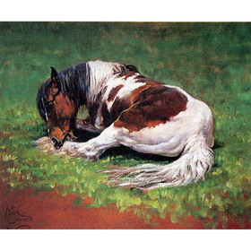 Print - Skewald Horse