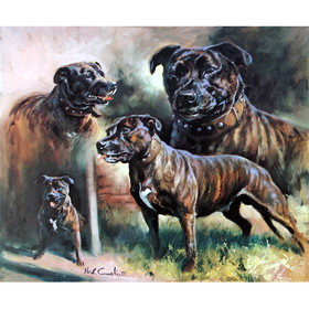 Print - Bull Terrier Composite