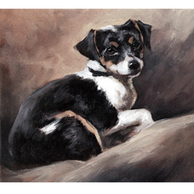 Print - Study Of A Terrier