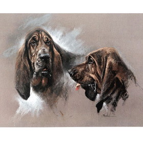 Print - Bloodhounds