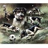 Print - Footballing Dog