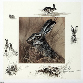 Print - The Hare
