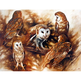 Print - Barn Owl