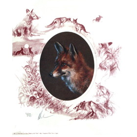 Print - Oval Fox 2