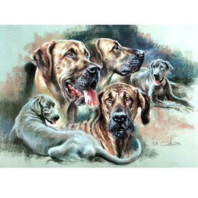 Print - The Great Danes