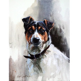 Print - Head Of A Jack Russell