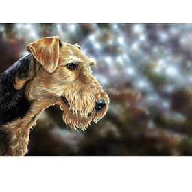 Print - Airedale Terrier Art By Paul Doyle