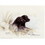 Print - Black Labradors