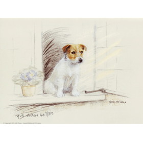 Print - Terrier At Window