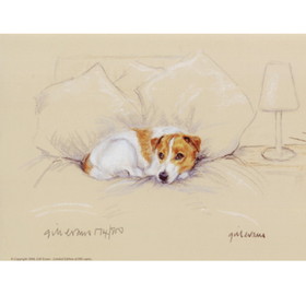 Print - Terrier On Bed