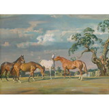 Alfred Munnings Horse Prints - Rose, Wildbird, Peggy and Stockin