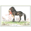 Haddington Green Equestrian Art Horses - Join Up - 6 pack