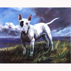 Print - English Bull Terriers Ii