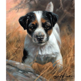 Print - Jack Russell Pup