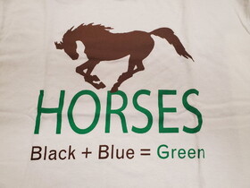 Intrepid International "Horses Black+Blue=Green" Humorous T-Shirt - White