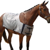 TechNiche International TI8510SVS Blanket Evap. Cooling Horse Sm/Md Silver 14.1-15.3 Han