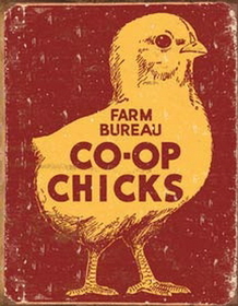 IWGAC 034-1365 Tin Sign - Farm Bureau Co-op Chicks