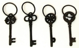 IWGAC 049-30444 Single Key on Ring Set of 4