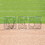 Jaypro CFSP Softball Pitching Protector - Classic (7' x 7'), Price/Set