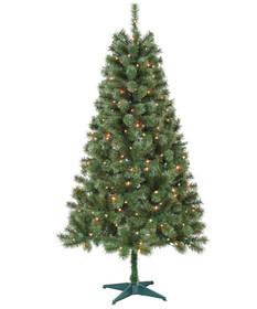 Jeco CH-CT87 Aisling 6FT Sentiments Green Clear Tree