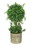 Jeco HD-BT017 18 Inch Artificial Topiary