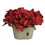 Jeco HD-BT103 9 Inch Hydrangea with wooden Pot