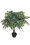 Jeco HD-BT136 36 Inch White Banyan Tree
