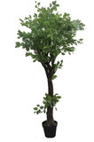 Jeco HD-BT142 63 Inch Chinese Next Tree