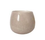 Jeco HD-HAGJ014 Heraclea 7.8 Inch x 6.3 Inch Decorative Glass Vase