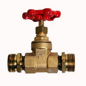 Pro tools FIG150-T-08 Gate Valve Brass 1/2in