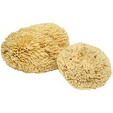 Sponges Natural & Synthetic SPN3 Sponge Natural Large