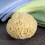 Pro tools ProTool Sponge Mediterranean Large